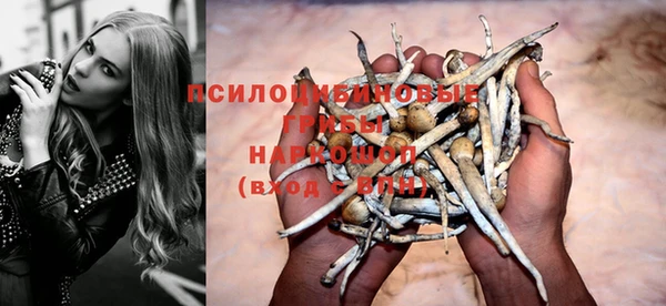 мет Медвежьегорск