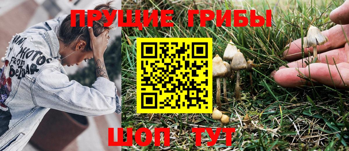 Галлюциногенные грибы мухоморы  Вход с VPN  Галлюциногенные грибы прущие грибы  Можайск 