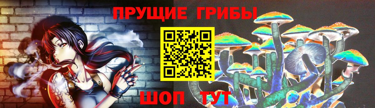 Галлюциногенные грибы GOLDEN TEACHER Можайск